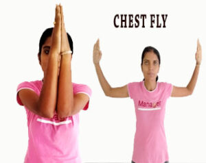 Chest Fly