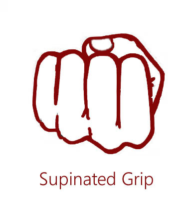 supinated grip pulldown muscles